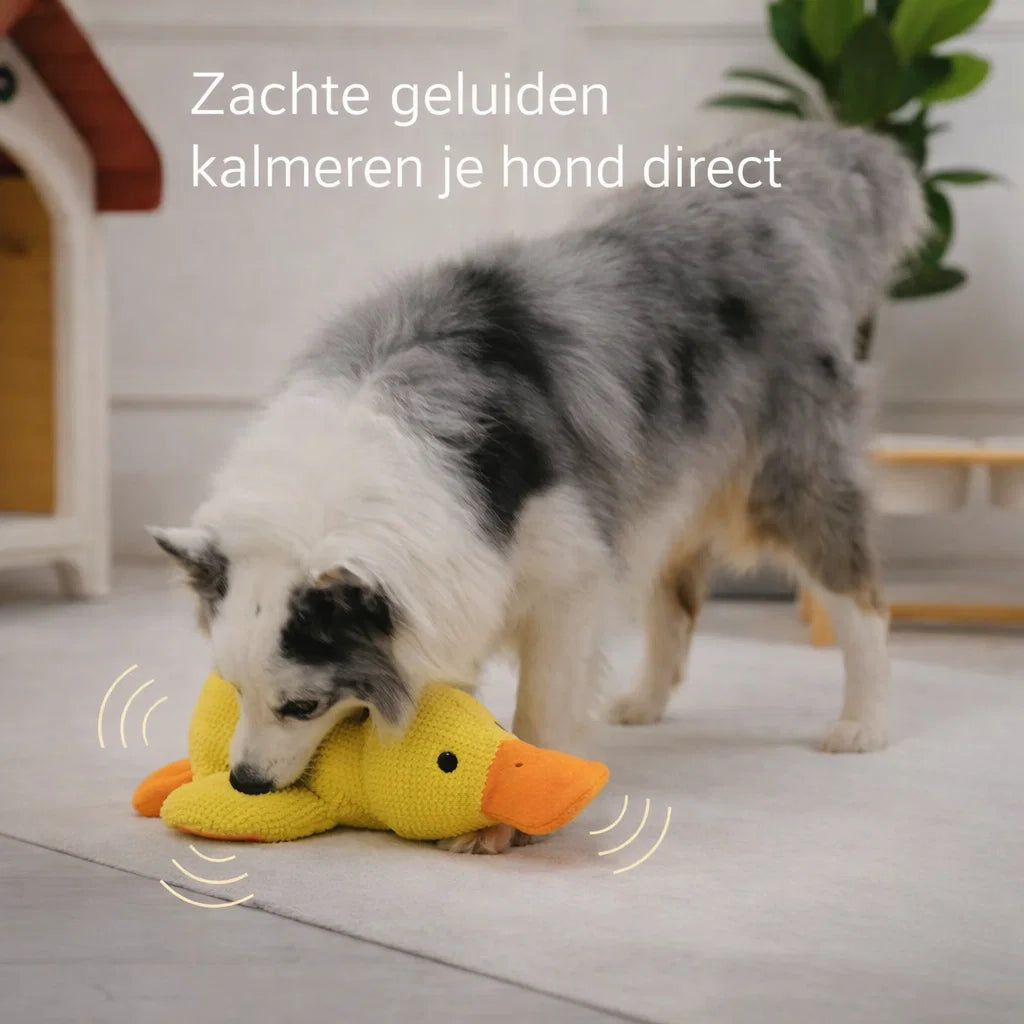 CalmiDuck – Meer rust voor je hond, zonder moeite
