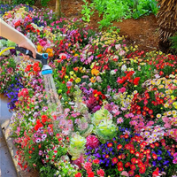 BloemMagie — Een tuin vol bloemen het hele seizoen