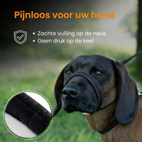 WalkEasy — Wandelen zonder getrek