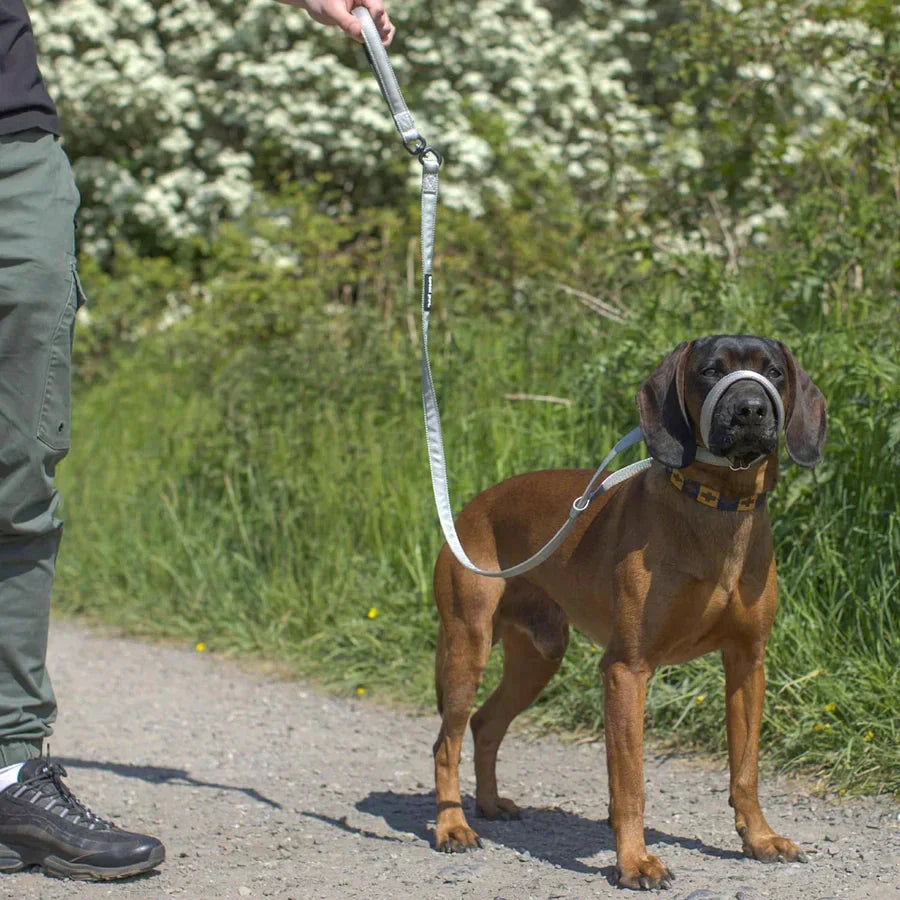 WalkEasy — Wandelen zonder getrek