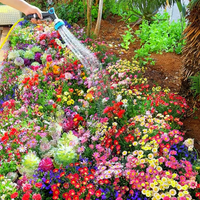BloemMagie — Een tuin vol bloemen het hele seizoen