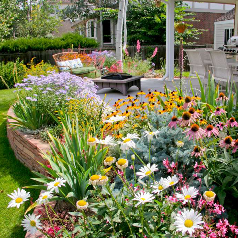 BloemMagie — Een tuin vol bloemen het hele seizoen