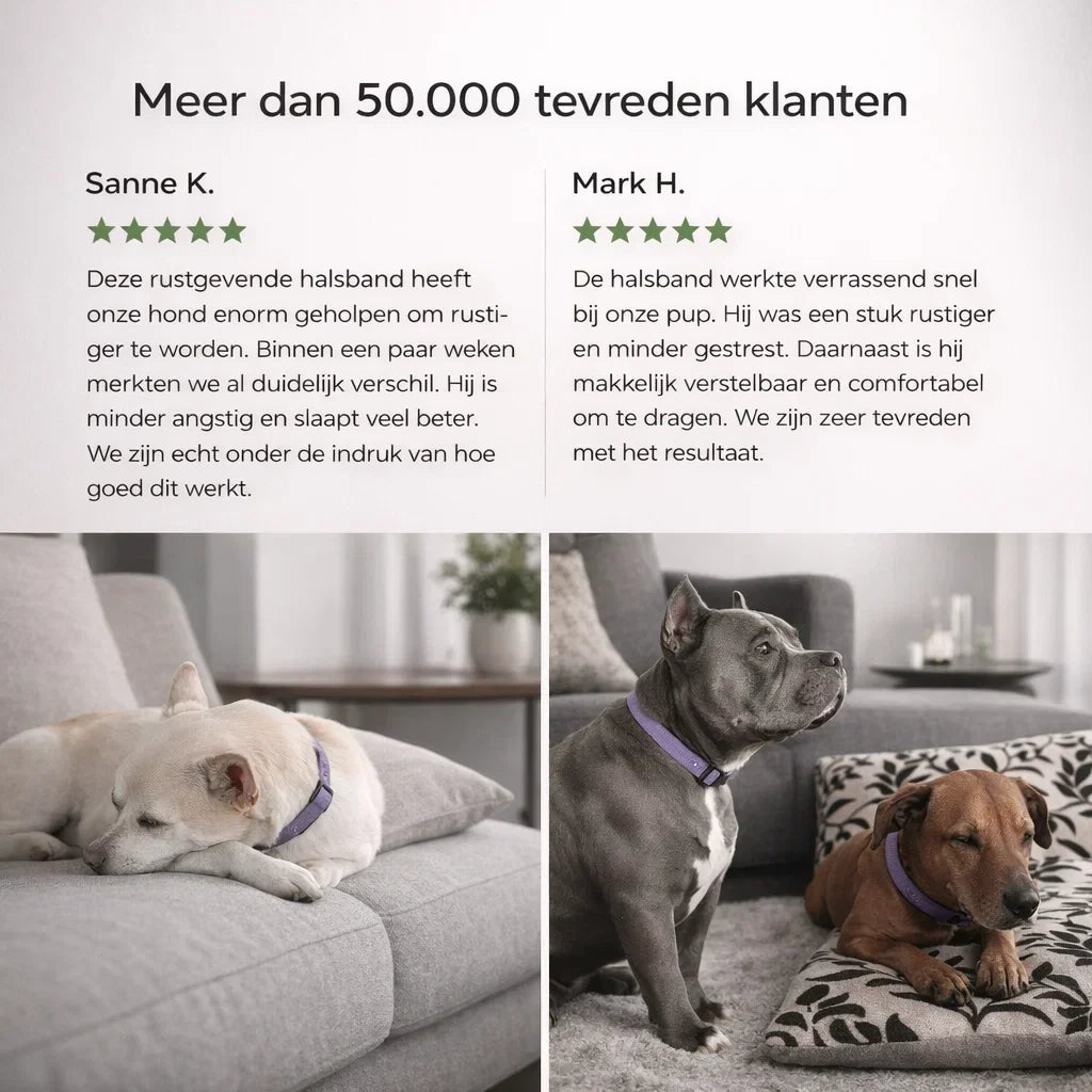 TekenVrij – Zorgeloos wandelen zonder teken