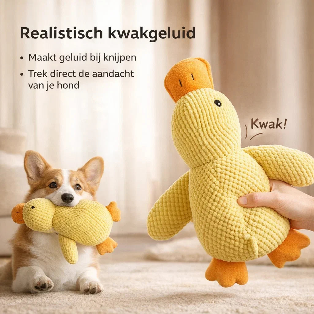 CalmiDuck – Meer rust voor je hond, zonder moeite