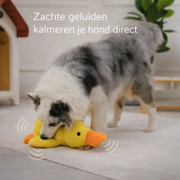 CalmiDuck – Meer rust voor je hond, zonder moeite